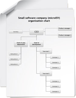 Organizational chart example